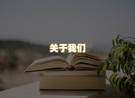 关于我们